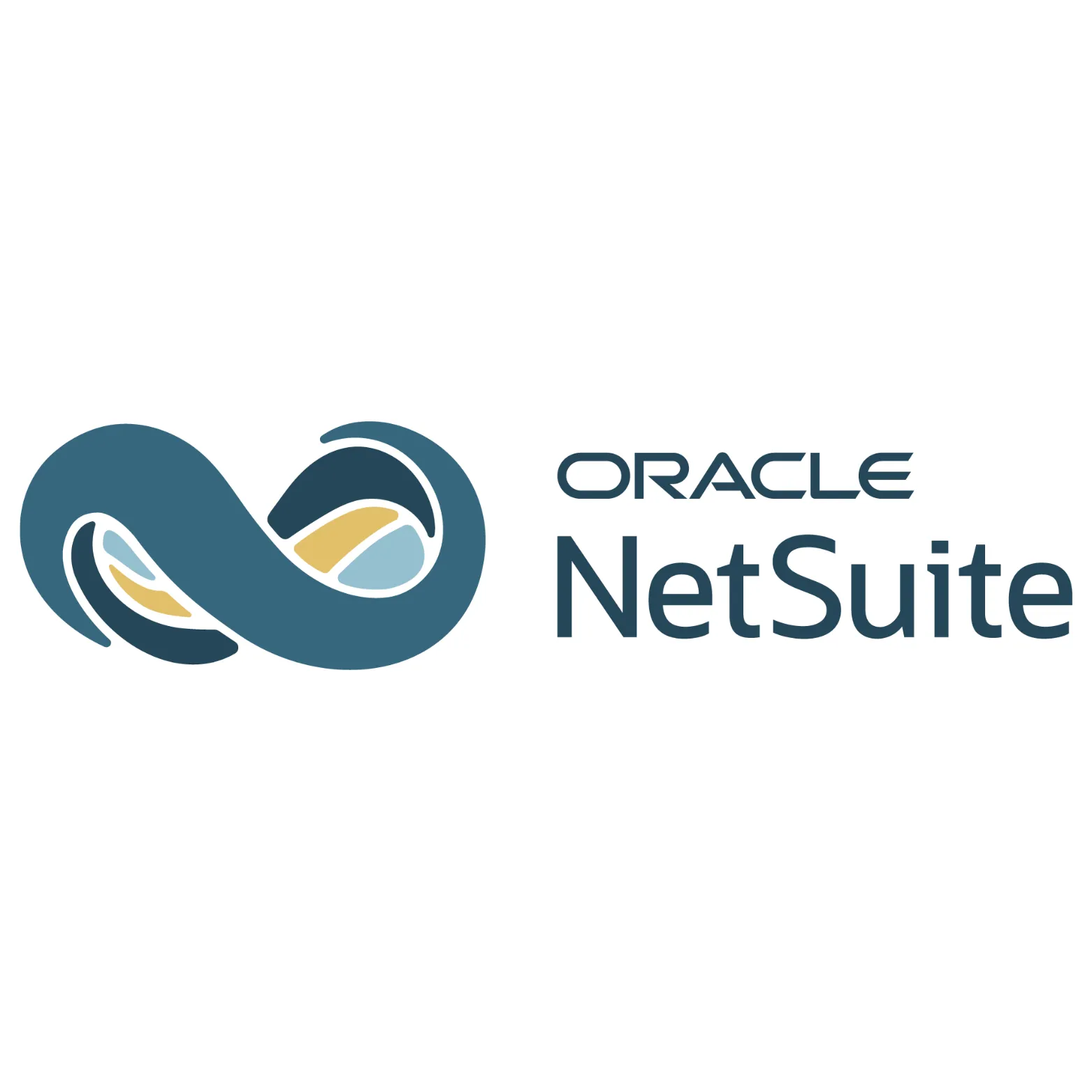 Netsuite Erp Partners